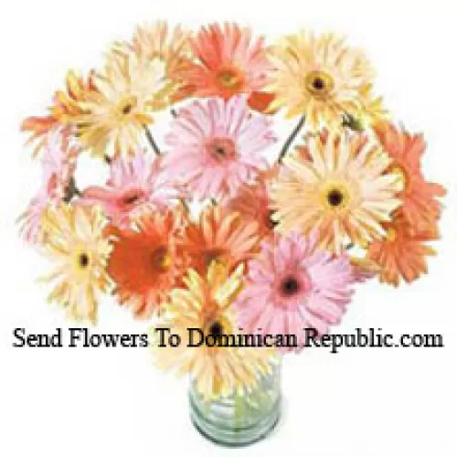 24 Mixed Colored Gerberas In A Vase