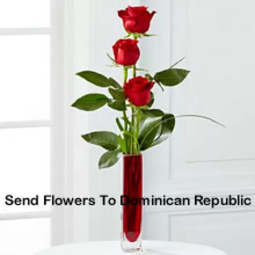 Tres rosas rojas en un jarrón de tubo de ensayo rojo (Nos reservamos el derecho de sustituir el jarrón en caso de no disponibilidad. Stock limitado)