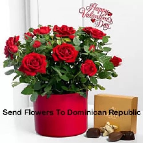 24 Red Roses With Some Ferns In A Big Vase And A Box Of Godiva Chocolates (We reserve the right to substitute the Godiva chocolates with chocolates of equal value in case of non-availability of the same. Limited Stock)